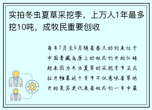 实拍冬虫夏草采挖季，上万人1年最多挖10吨，成牧民重要创收