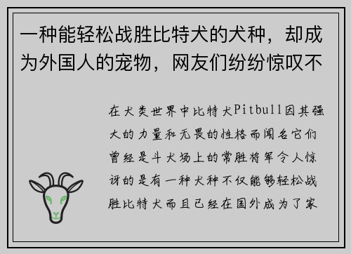 一种能轻松战胜比特犬的犬种，却成为外国人的宠物，网友们纷纷惊叹不已